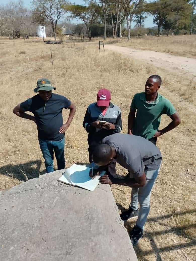 The team at work